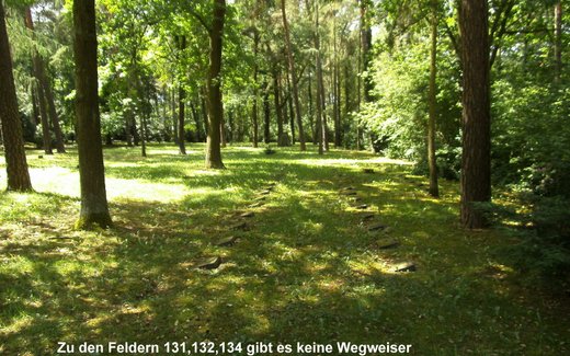 Ansicht der Kriegsgräberstätte Berlin-Zehlendorf, Waldfriedhof Zehlendorf II