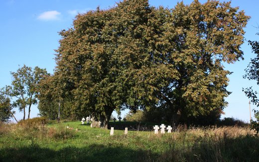 Ansicht der Kriegsgräberstätte Habichtsau