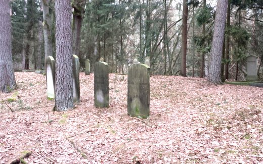 Ansicht der Kriegsgräberstätte Bleckede, Jüdischer Friedhof