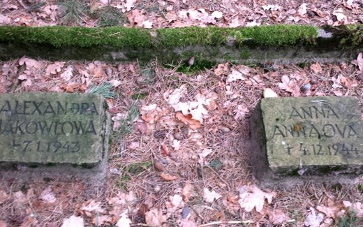 Ansicht der Kriegsgräberstätte Bleckede, Jüdischer Friedhof
