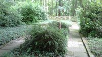 Bassum, Jüdischer Friedhof
