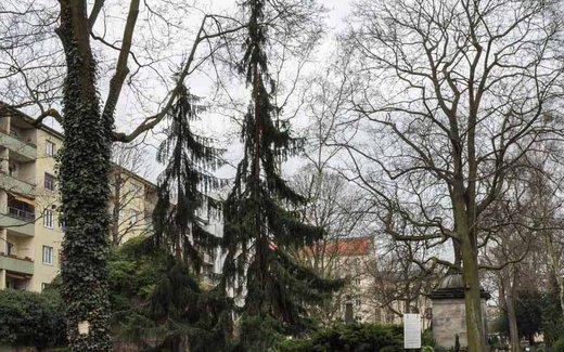 Ansicht der Kriegsgräberstätte Berlin-Charlottenburg, Luisen-Friedhof I