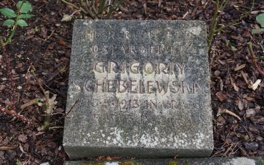 Ansicht der Kriegsgräberstätte Bockenem - Bornum, Friedhof