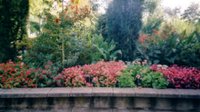 Alfter-Witterschlick-Gemeindefriedhof