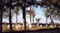 Bordesti