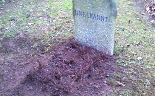 Ansicht der Kriegsgräberstätte Bad Salzdetfurth, Waldfriedhof