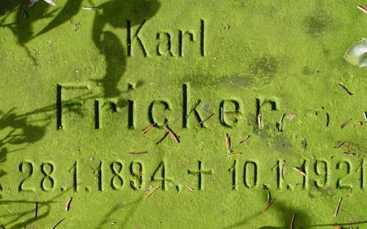 Ansicht der Kriegsgräberstätte Bissendorf - Schledehausen, Ev. - luth. Friedhof