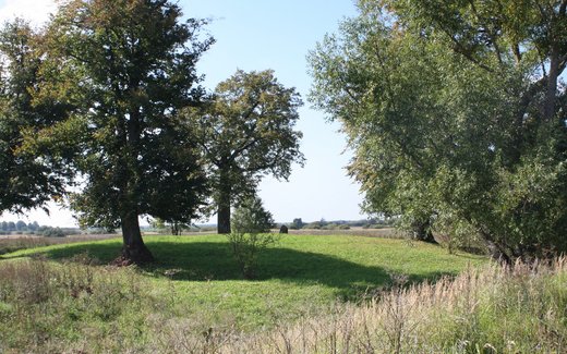 Ansicht der Kriegsgräberstätte Birkenfeld