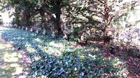Bad Bevensen, Ev.- luth. Friedhof