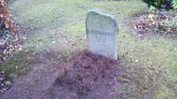 Bad Salzdetfurth, Waldfriedhof
