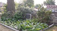 Bollersdorf, Gemeindefriedhof