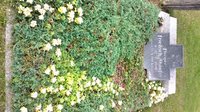 Bad Harzburg - Schlewecke, Städt. Ortsteilfriedhof