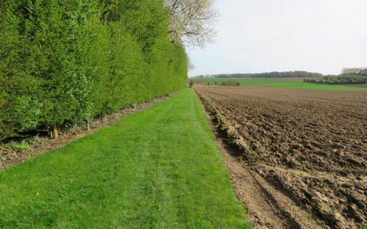 Ansicht der Kriegsgräberstätte Bertrancourt