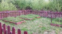 Bodenwerder, Kriegsgräberstätte Am Junkersgrund
