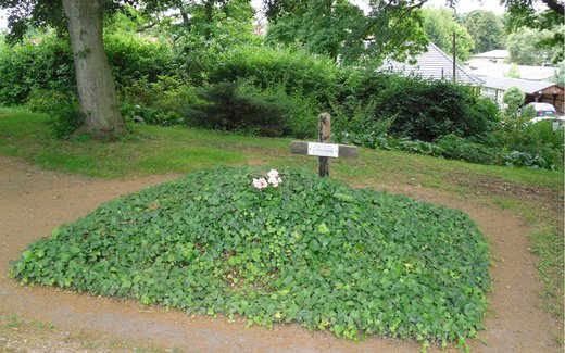 Ansicht der Kriegsgräberstätte Blankenburg b. Prenzlau