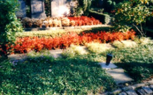 Ansicht der Kriegsgräberstätte Bonn-Ippendorf-Gemeindefriedhof