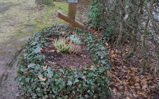 Ansicht der Kriegsgräberstätte Bockenem, Friedhof