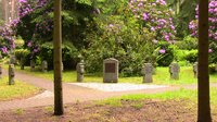 Bad Saarow-Pieskow, Waldfriedhof