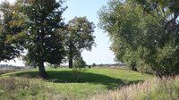 Birkenfeld