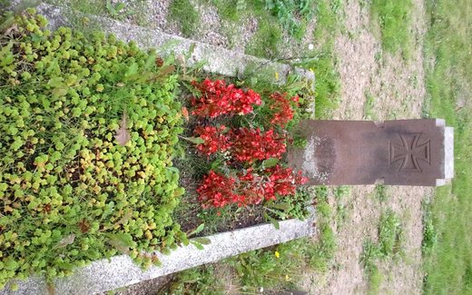 Ansicht der Kriegsgräberstätte Bodenwerder, Stadtfriedhof