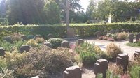Böhme - Altenwahlingen, Gemeindefriedhof
