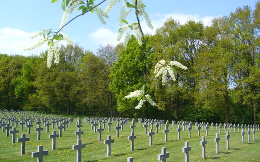 Ansicht der Kriegsgräberstätte Ysselsteyn