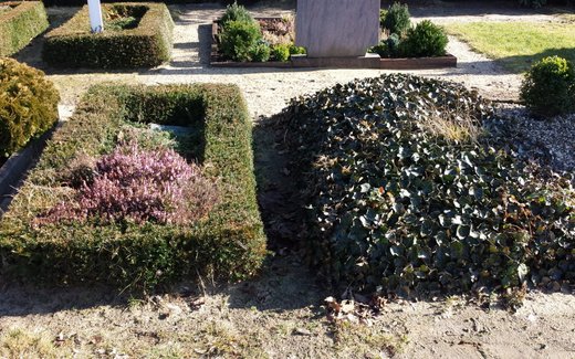 Ansicht der Kriegsgräberstätte Bienenbüttel, Ev.- luth. Friedhof