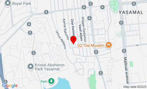 Google Map
