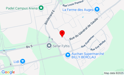Google Map