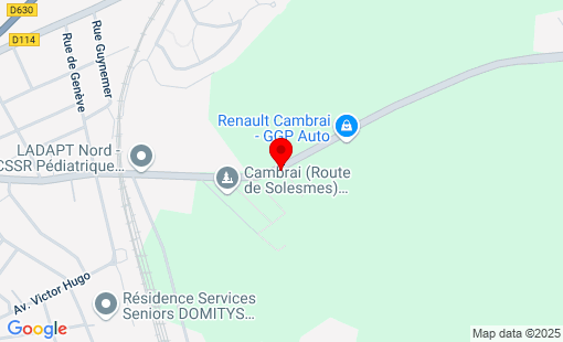 Google Map