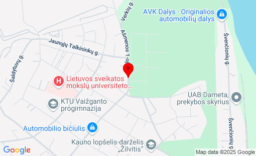 Google Map